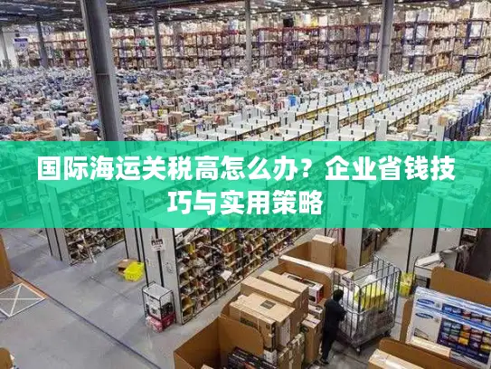 国际海运关税高怎么办？企业省钱技巧与实用策略