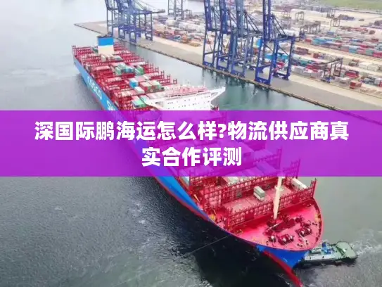 深国际鹏海运怎么样?物流供应商真实合作评测