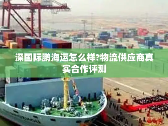 深国际鹏海运怎么样?物流供应商真实合作评测
