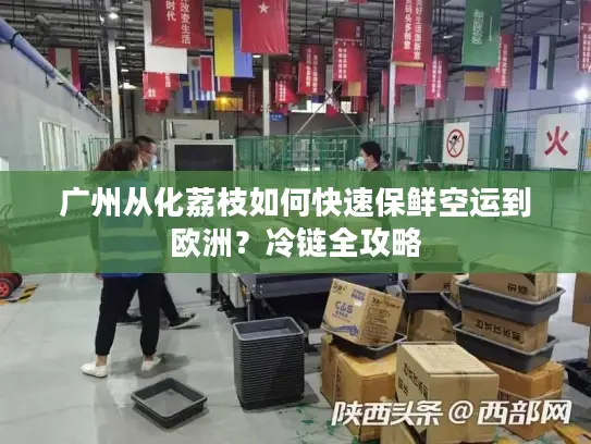 广州从化荔枝如何快速保鲜空运到欧洲?冷链全攻略 广州从化荔枝如何快速保鲜空运到欧洲?冷链全攻略