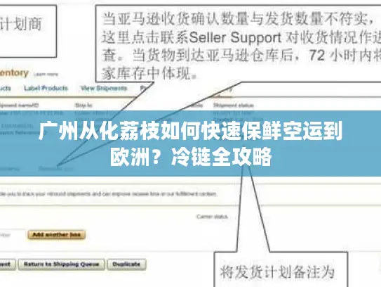 广州从化荔枝如何快速保鲜空运到欧洲?冷链全攻略 广州从化荔枝如何快速保鲜空运到欧洲?冷链全攻略