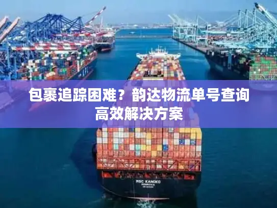 包裹追踪困难？韵达物流单号查询高效解决方案
