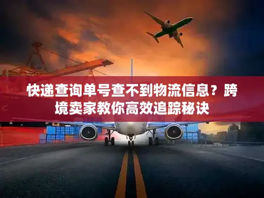 快递查询单号查不到物流信息？跨境卖家教你高效追踪秘诀