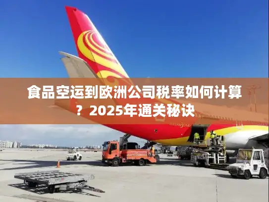 食品空运到欧洲公司税率如何计算？2025年通关秘诀
