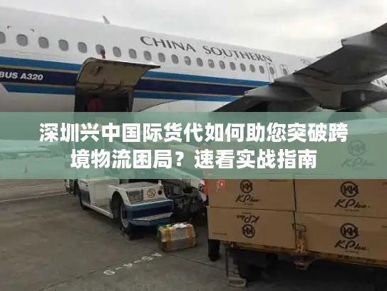 深圳兴中国际货代如何助您突破跨境物流困局？速看实战指南
