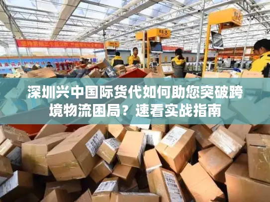 深圳兴中国际货代如何助您突破跨境物流困局？速看实战指南