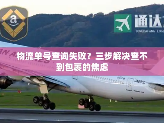 物流单号查询失败？三步解决查不到包裹的焦虑