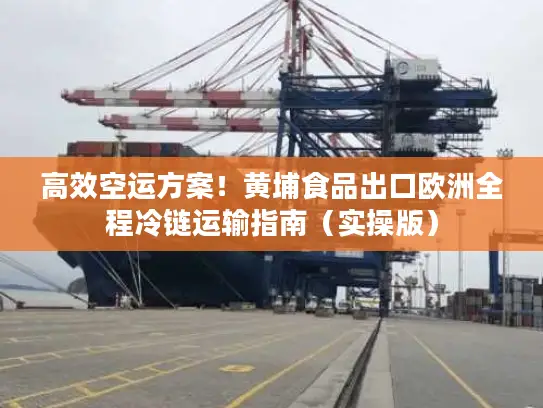 高效空运方案！黄埔食品出口欧洲全程冷链运输指南（实操版）