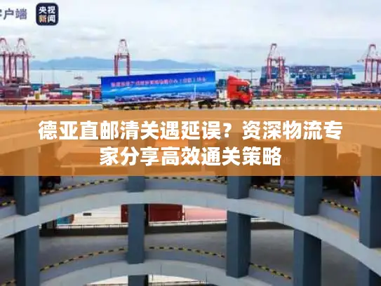 德亚直邮清关遇延误？资深物流专家分享高效通关策略