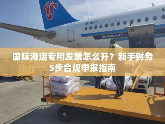 国际海运专用发票怎么开？新手财务5步合规申报指南