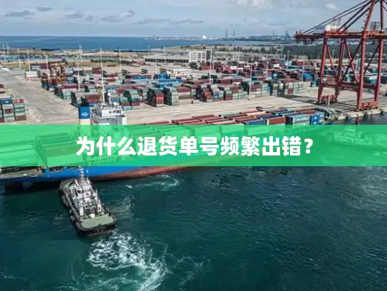 为什么退货单号频繁出错？