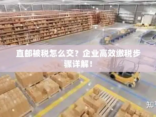 直邮被税怎么交？企业高效缴税步骤详解！
