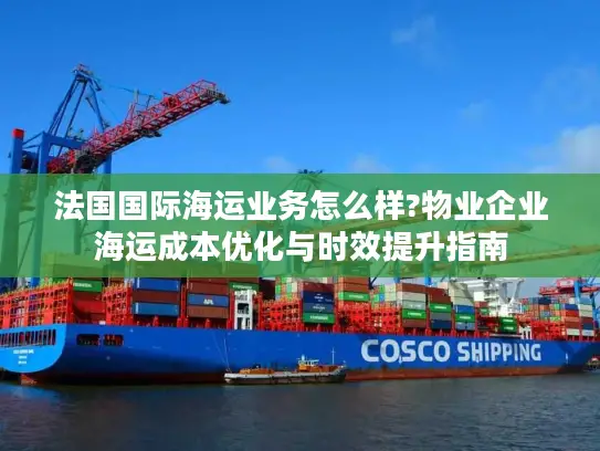法国国际海运业务怎么样?物业企业海运成本优化与时效提升指南