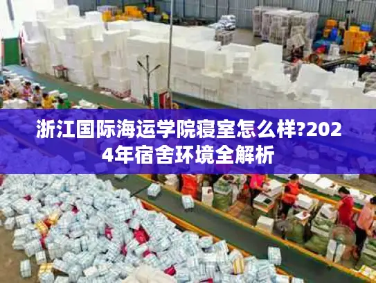 浙江国际海运学院寝室怎么样?2024年宿舍环境全解析