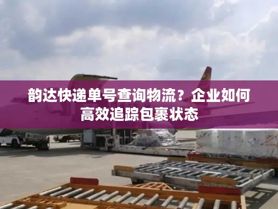 韵达快递单号查询物流？企业如何高效追踪包裹状态