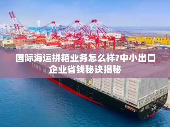 国际海运拼箱业务怎么样?中小出口企业省钱秘诀揭秘