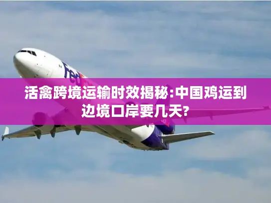 活禽跨境运输时效揭秘:中国鸡运到边境口岸要几天?