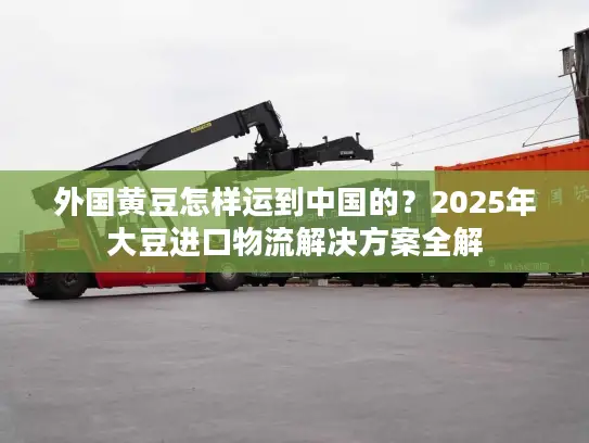 外国黄豆怎样运到中国的？2025年大豆进口物流解决方案全解