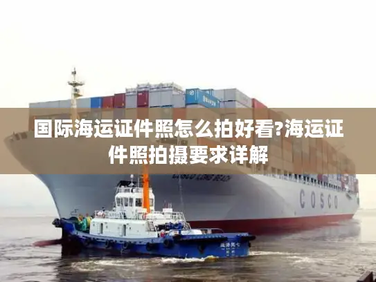 国际海运证件照怎么拍好看?海运证件照拍摄要求详解