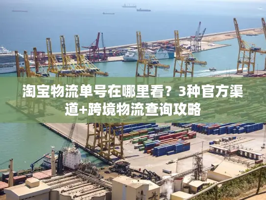 淘宝物流单号在哪里看？3种官方渠道+跨境物流查询攻略