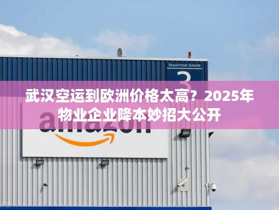 武汉空运到欧洲价格太高？2025年物业企业降本妙招大公开