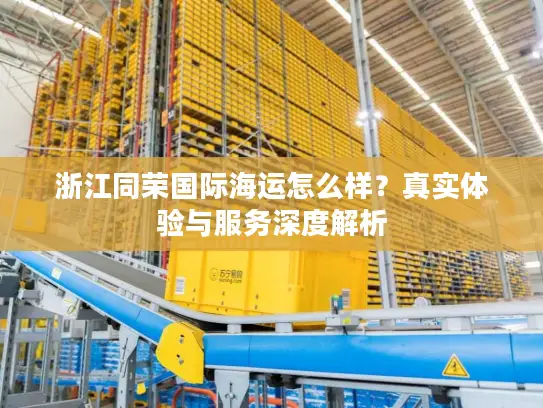 浙江同荣国际海运怎么样？真实体验与服务深度解析