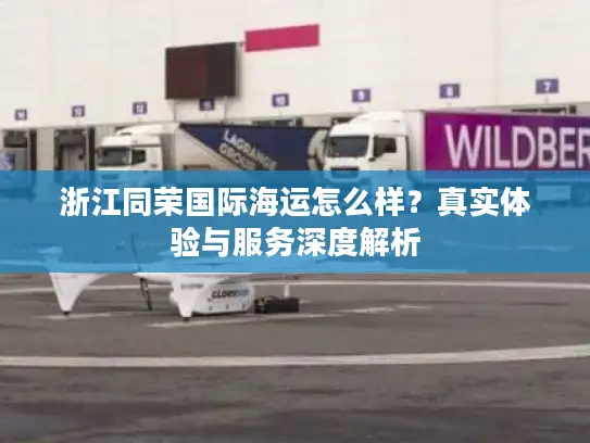 浙江同荣国际海运怎么样？真实体验与服务深度解析