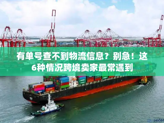 有单号查不到物流信息？别急！这6种情况跨境卖家最常遇到