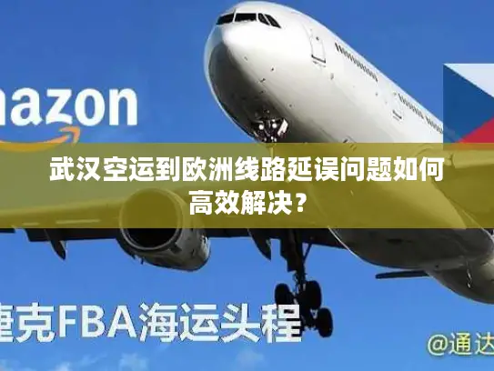 武汉空运到欧洲线路延误问题如何高效解决？