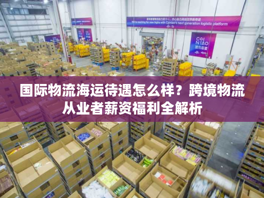 国际物流海运待遇怎么样？跨境物流从业者薪资福利全解析