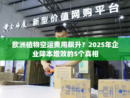 欧洲植物空运费用飙升？2025年企业降本增效的5个真相