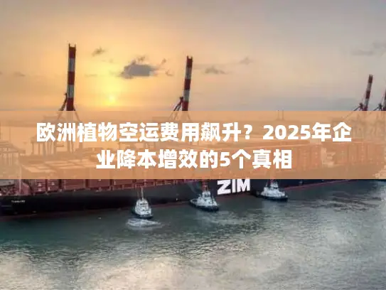 欧洲植物空运费用飙升？2025年企业降本增效的5个真相