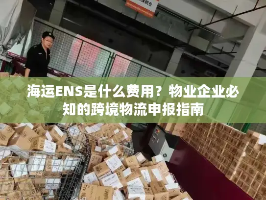 海运ENS是什么费用？物业企业必知的跨境物流申报指南