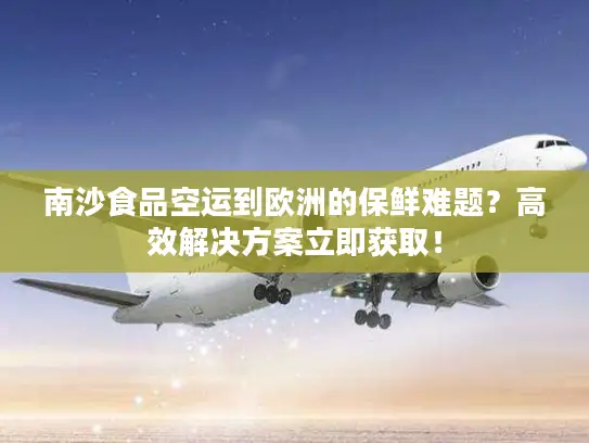 南沙食品空运到欧洲的保鲜难题？高效解决方案立即获取！