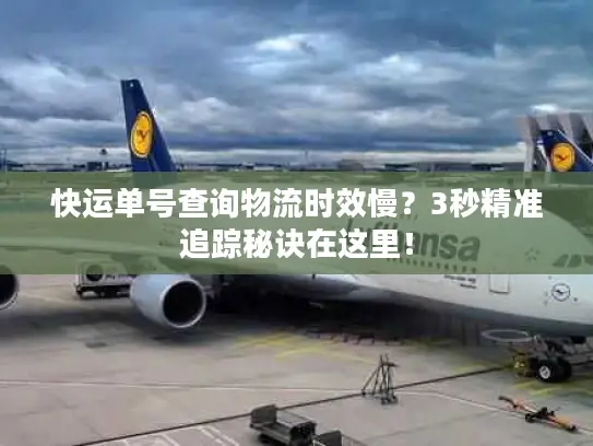快运单号查询物流时效慢？3秒精准追踪秘诀在这里！