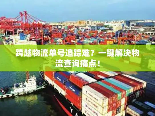 跨越物流单号追踪难？一键解决物流查询痛点！