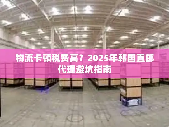 物流卡顿税费高？2025年韩国直邮代理避坑指南