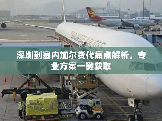 深圳到塞内加尔货代痛点解析，专业方案一键获取