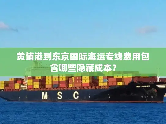 黄埔港到东京国际海运专线费用包含哪些隐藏成本？