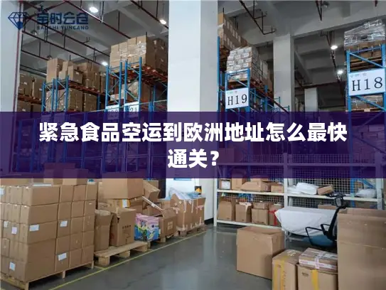 紧急食品空运到欧洲地址怎么最快通关？