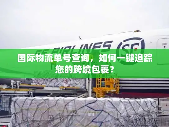 国际物流单号查询，如何一键追踪您的跨境包裹？