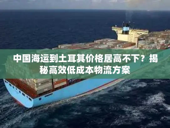 中国海运到土耳其价格居高不下？揭秘高效低成本物流方案