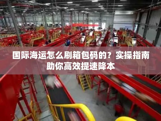 国际海运怎么刷箱包码的？实操指南助你高效提速降本