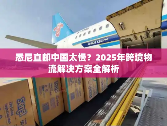 悉尼直邮中国太慢？2025年跨境物流解决方案全解析