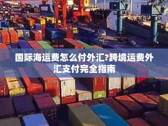 国际海运费怎么付外汇?跨境运费外汇支付完全指南