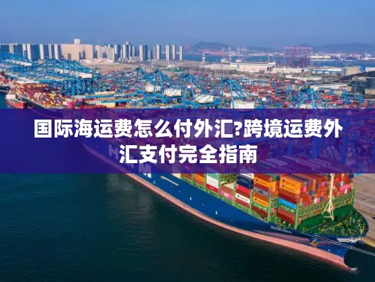 国际海运费怎么付外汇?跨境运费外汇支付完全指南
