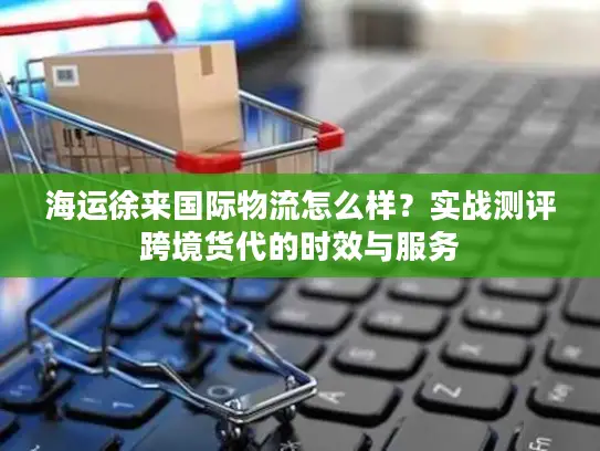 海运徐来国际物流怎么样？实战测评跨境货代的时效与服务