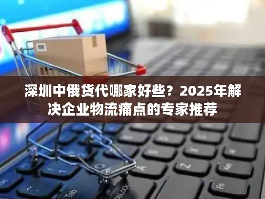 深圳中俄货代哪家好些？2025年解决企业物流痛点的专家推荐