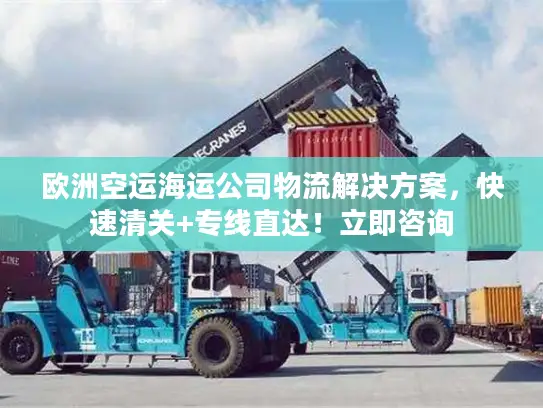 欧洲空运海运公司物流解决方案，快速清关+专线直达！立即咨询