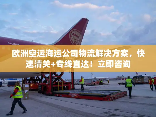 欧洲空运海运公司物流解决方案，快速清关+专线直达！立即咨询